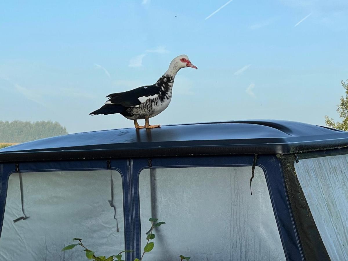 Parel Van Bever - Perle De Bievene 外观 照片